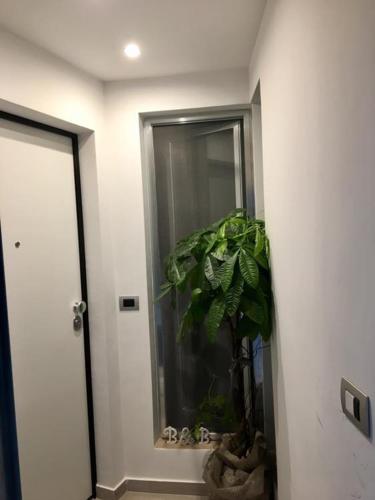 B&B Casa AMALIA