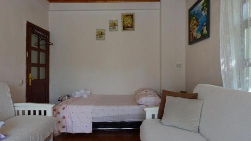 Eren Villa - image 12