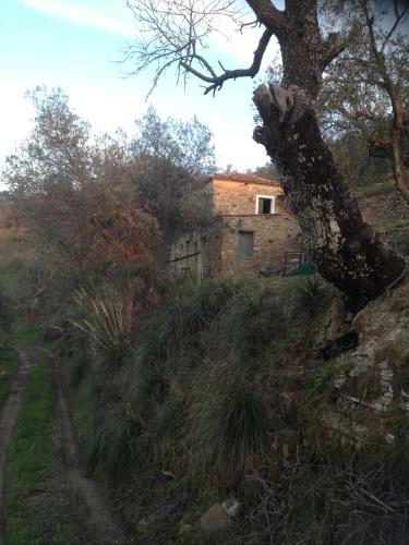  casale guarino, Agnone bei Castelnuovo Cilento