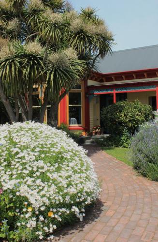 Chester St Backpackers – Christchurch, CO