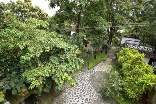 Hotel Treetop Thekkady