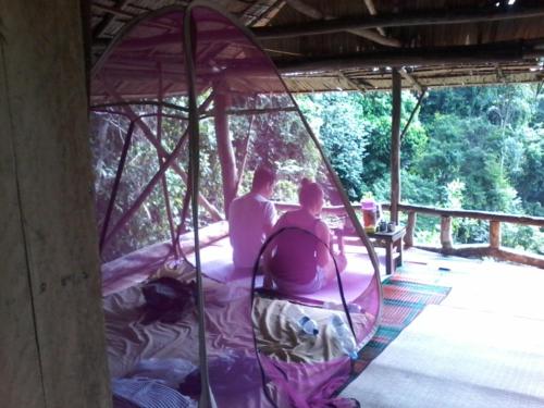 ORANGUTANTREKSUMATRA & LOVELY JUNGLE LODGE only book IF you are treking with us in Bukit Lawang