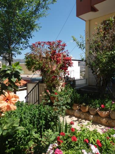 Eleni Studios, Agios Nikolaos (foto 9)
