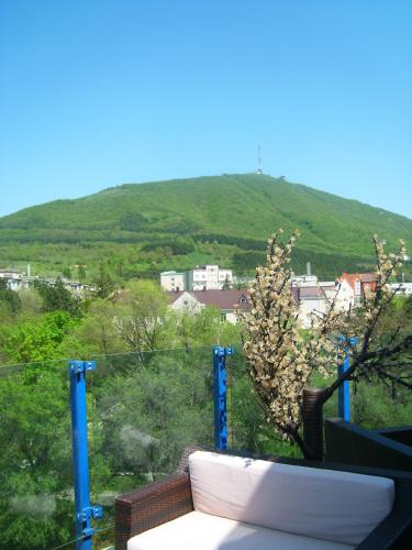 Golden Hotel - image 4