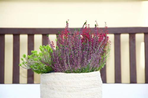 La Terrazza di Isabel, Řím (fotografie 4)