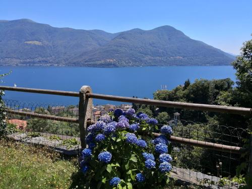 Brilago 1, Brissago (zdjęcie 8)