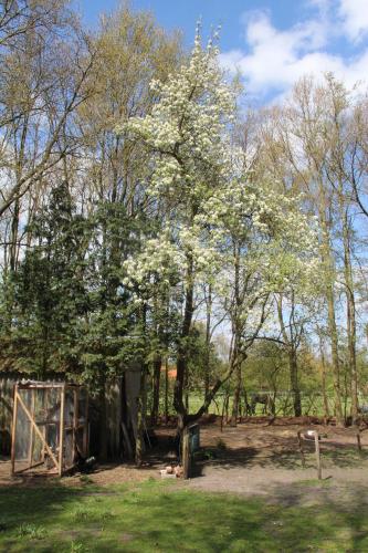 B&B In de Backerije