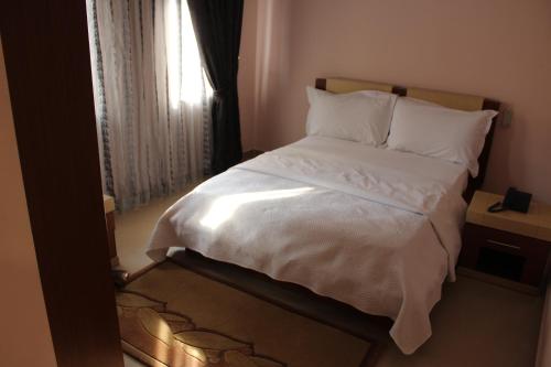 Hotel Piemonte, Tirana (photo 3)