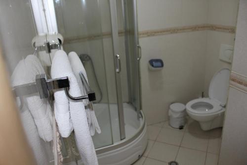 Hotel Piemonte, Tirana (photo 7)