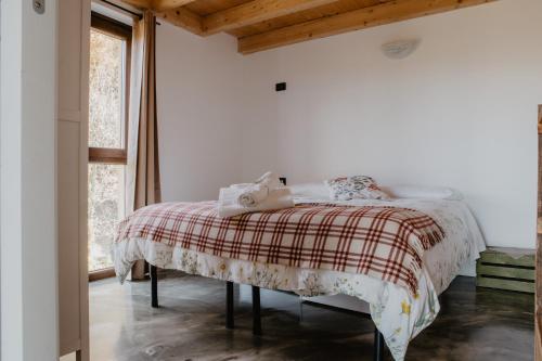 Agriturismo Le Piagge - image 8