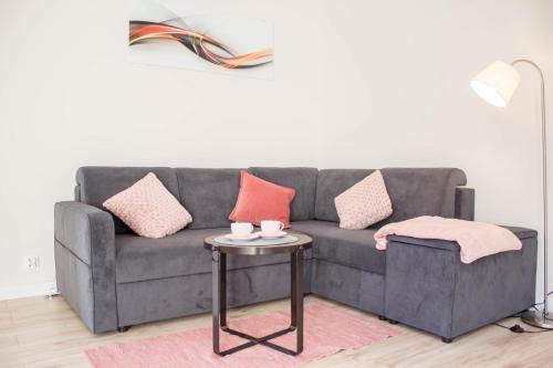 Apartamenty Kamienna z widokiem na góry i 2 km do Wyciągu Skolnity - Dream Apart Apartamenty Kamienna z widokiem na góry i 2 km do Wyciągu Skolnity - Dream Apart