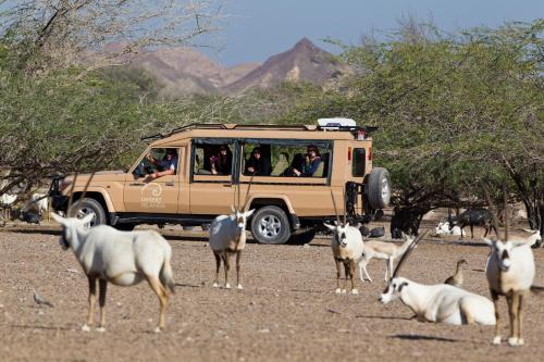 Anantara Desert Islands Resort & Spa