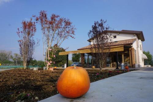  agriturismo campogrande, Carpaneto Piacentino bei Bettola