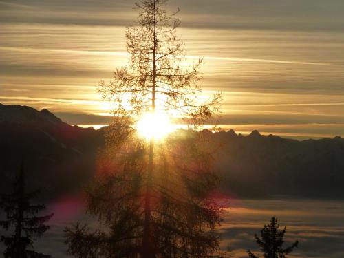 Ferienhaus Hubertus Tirol 1-8 Personen