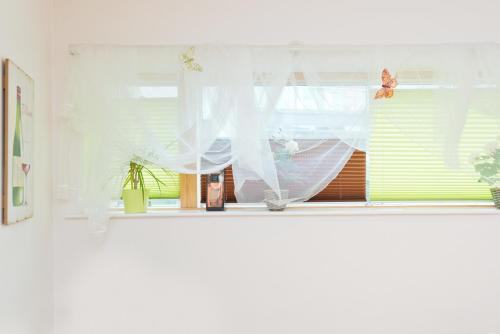 Get Strand gardiner valances For Free Strand Gardiner Valances