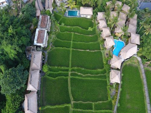 Biyukukung Suite & Spa, Ubud