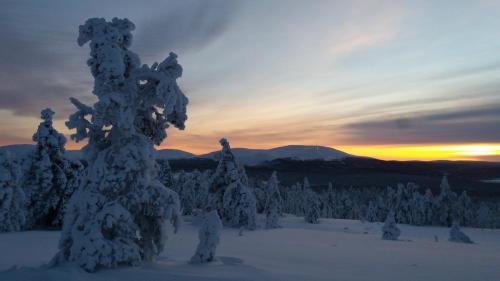 Kuerkaltio Holiday Village - image 5