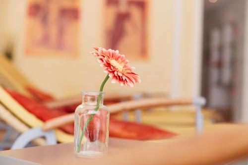 Vital Hotel Wiedemann Vital Hotel Wiedemann