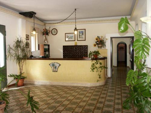 Hotel delle Palme - image 6