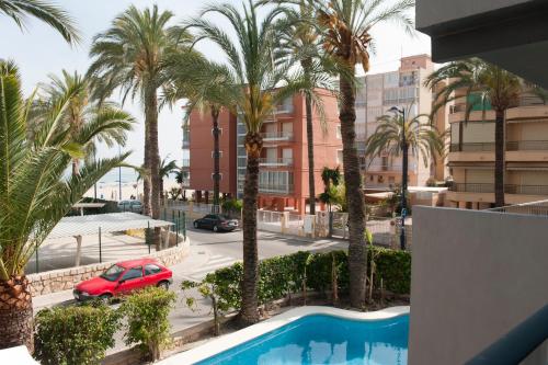 Hotel El Palmeral - image 13