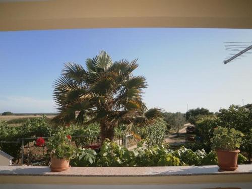 Apartment in Nin with Terrace, Air conditioning, Wi-Fi (3722-1), Nin