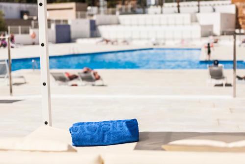 Globales Mimosa - image 5