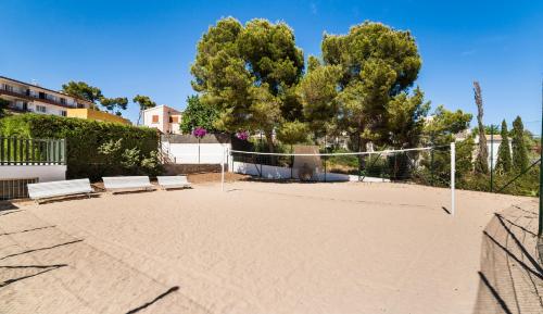 Globales Mimosa - image 12