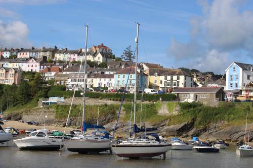 Penwig - image 11