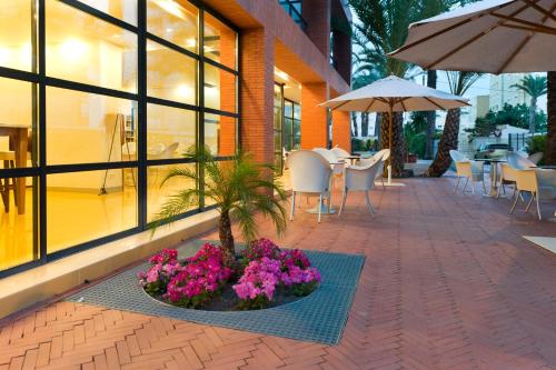 مدخل, Hotel El Palmeral in بلايا دي بوننتي