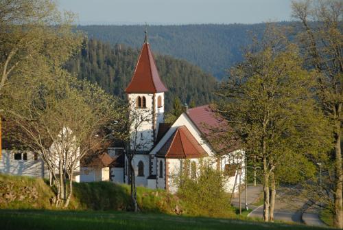 Hotel Schwarzwald Kniebis - image 5