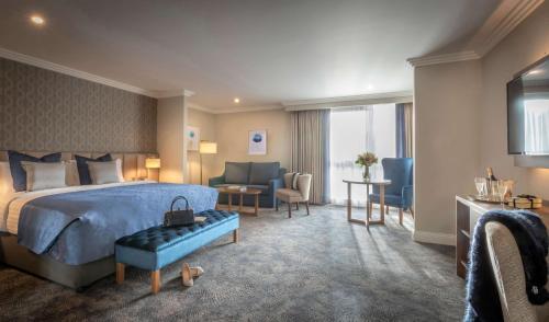 Castletroy Park Hotel Suites - main image