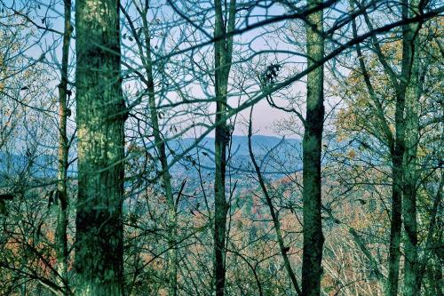 Moonlight Obsession #254 - Two Bedroom Cabin Zion Grove (TN)