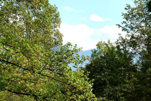 Sleeping Beauty #511 - Two Bedroom Cabin Gatlinburg (TN)