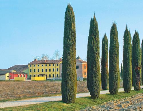  BB Mambrotta, San Martino Buon Albergo bei Illasi