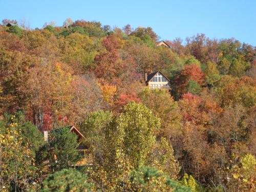 Hillbilly Hilton #525 - Five Bedroom Cabin