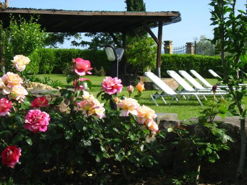 Agriturismo Villani Poderi Nesti&Cupoli - Hotel - Lastra a Signa