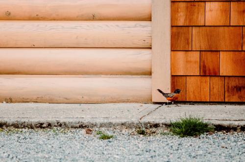 Cowichan River Lodge