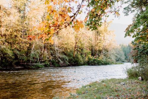 Cowichan River Lodge