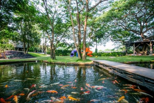 Garden, Classiccar Caravan Resort in Sapphaya