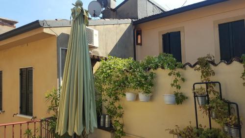 Casa Barca 4