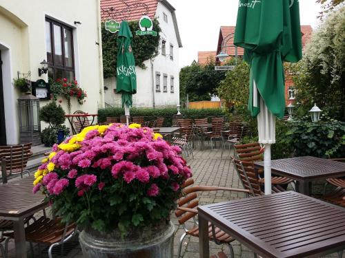 Restaurant, Hotel-Landgasthof Grüner Baum - Dittigheim (Hotel-Landgasthof Gruner Baum - Dittigheim) in Tauberbischofsheim