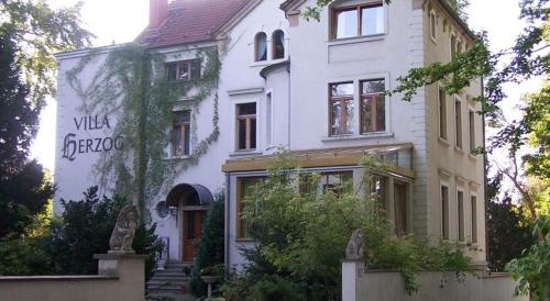 Hotel Villa Herzog, Dresden (photo 7)