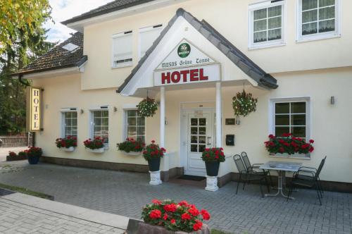 Hotel Grüne Tanne - image 13
