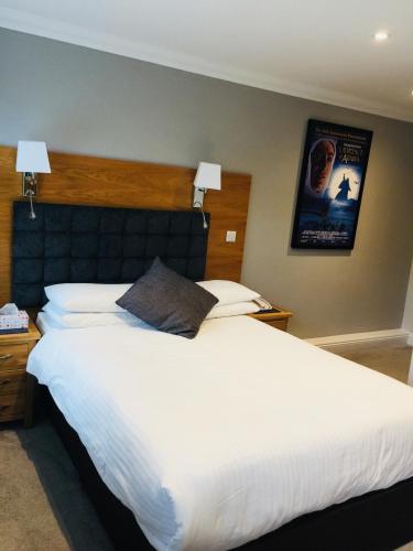 Hotel Celebrity - image 11