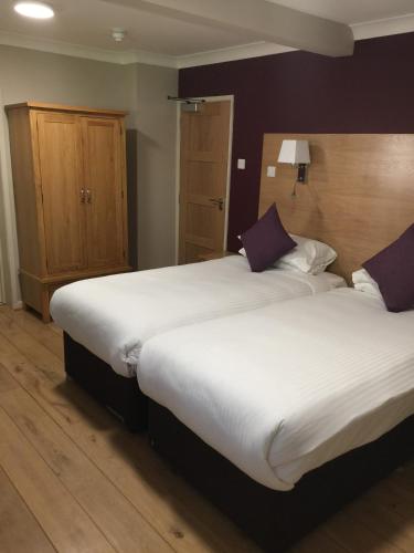 Hotel Celebrity - image 13