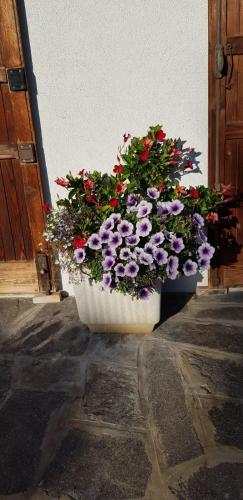 Chalet Elena in Auronzo di Cadore