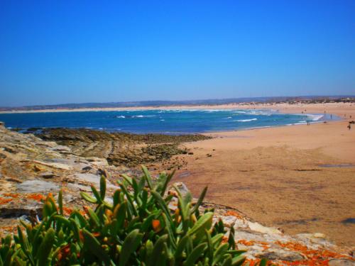  Peniche Beach Apartment - Shell in Peniche