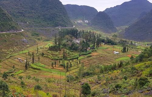 a lush green hillside with a mountain range, Huyen Tram Guesthouse in Dong Van