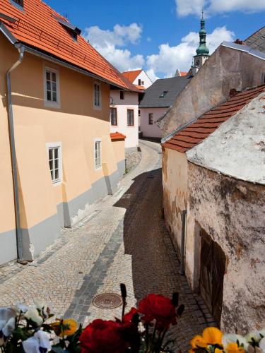 Staroměstský Penzion - image 7