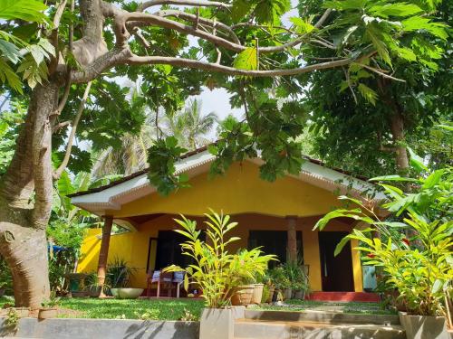 R&N Yellow House